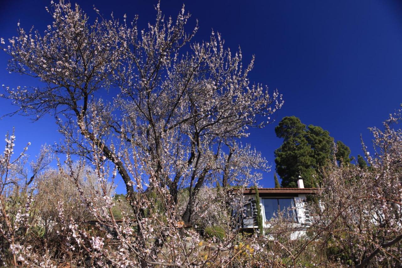 Panorama Suite El Mirador Puntagorda 외부 사진